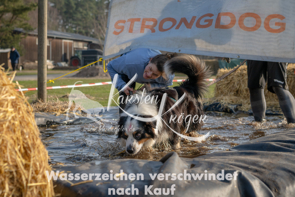 _ZZ91822 | kk-dogfotos