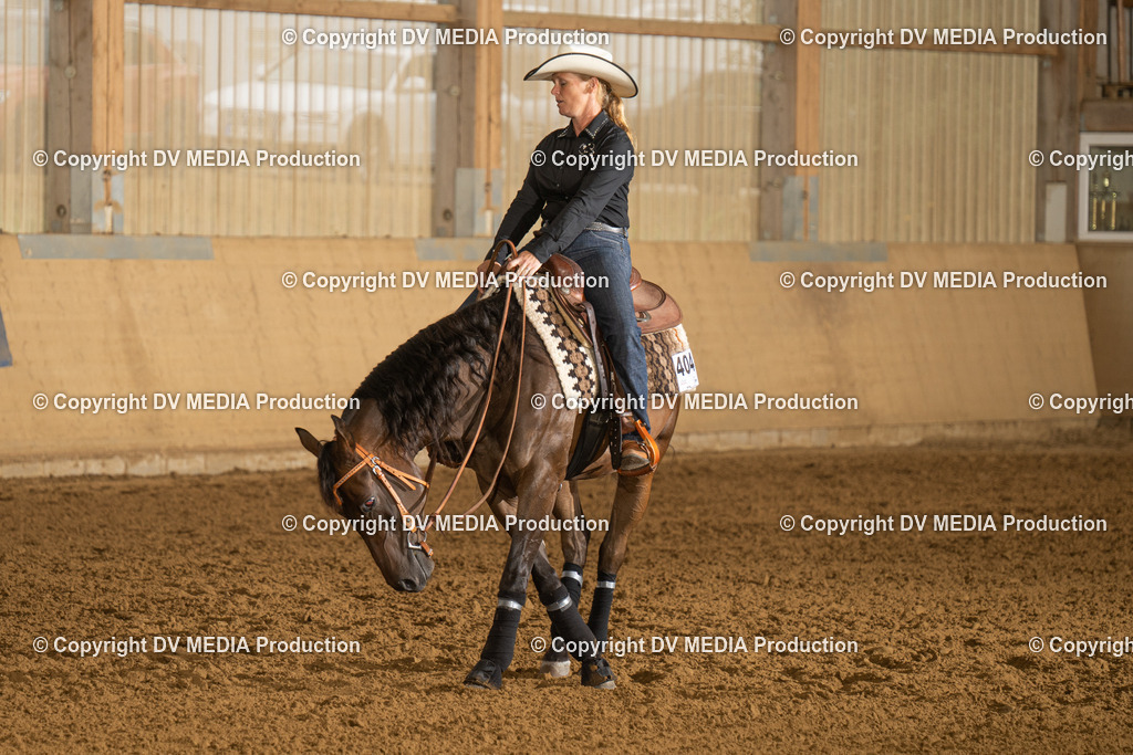 LAU00536 | dv-media-shop - Realisiert mit Pictrs.com