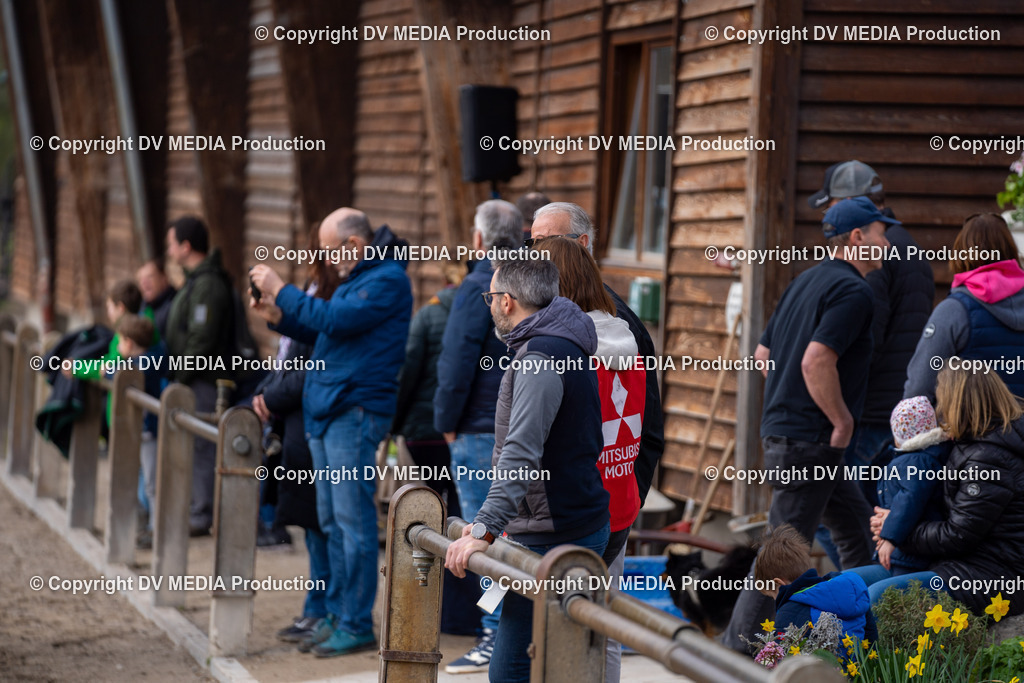 Springen Tag 3-445 | dv-media-shop - Realisiert mit Pictrs.com