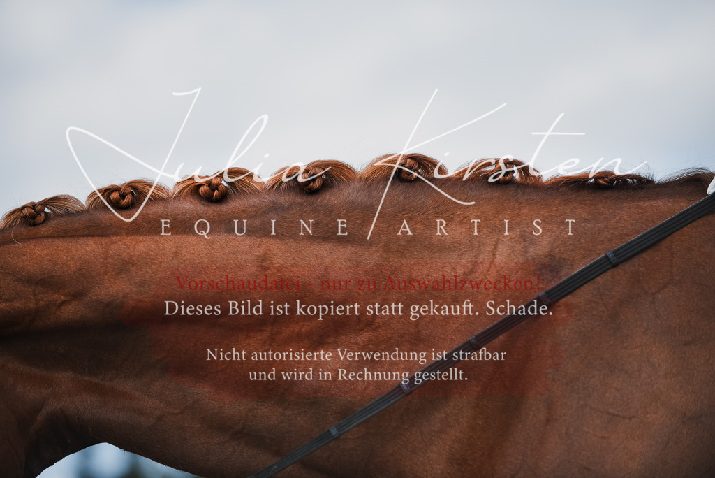 DSC_9141 | Pferde- und Turnierfotografie in Westsachsen. Pferdeportraits, Auftragszeichnungen und intuitive Kunst.