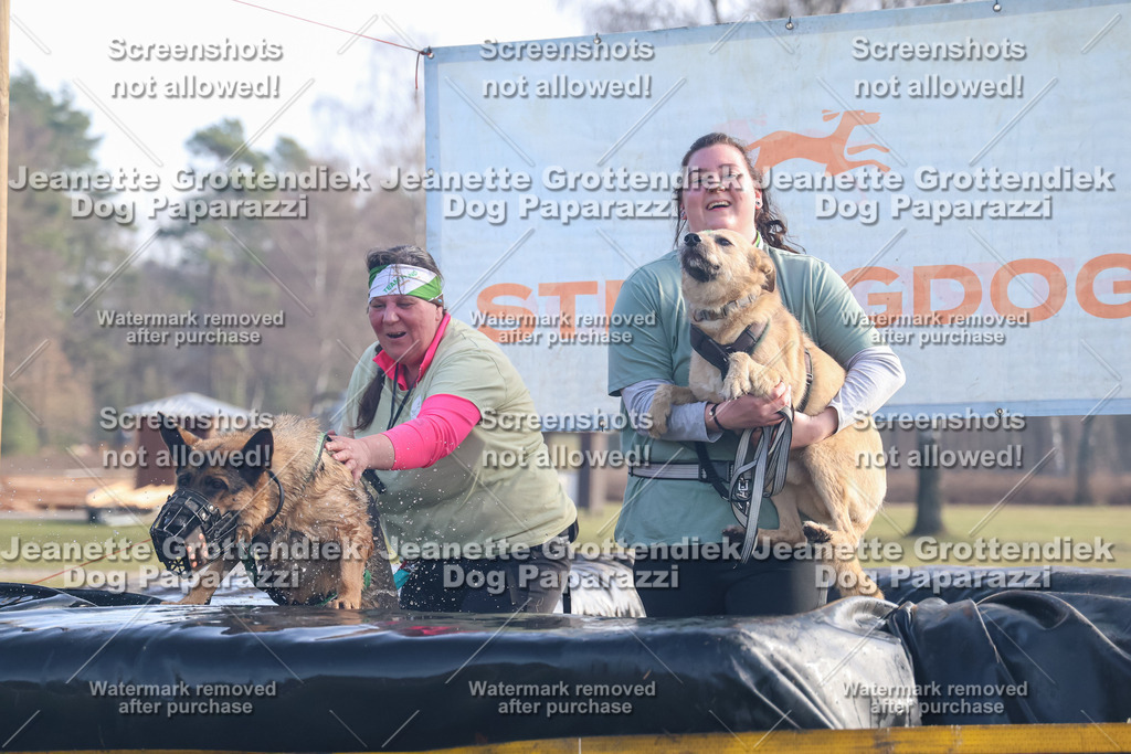 Dog Paparazzi - Strongdog North Mrz26-529 | Dog Paparazzi Jeanette Grottendiek Fotografie & Videografie - Realisiert mit Pictrs.com