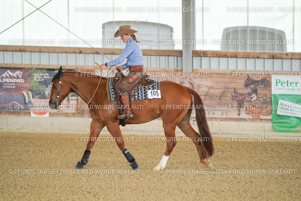 DSC02589 | Pferdegrafie