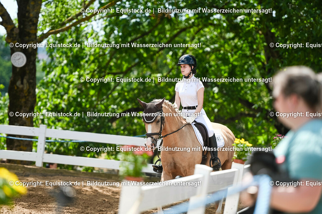 20230715_09_Dressur-WB_0458 | equistock