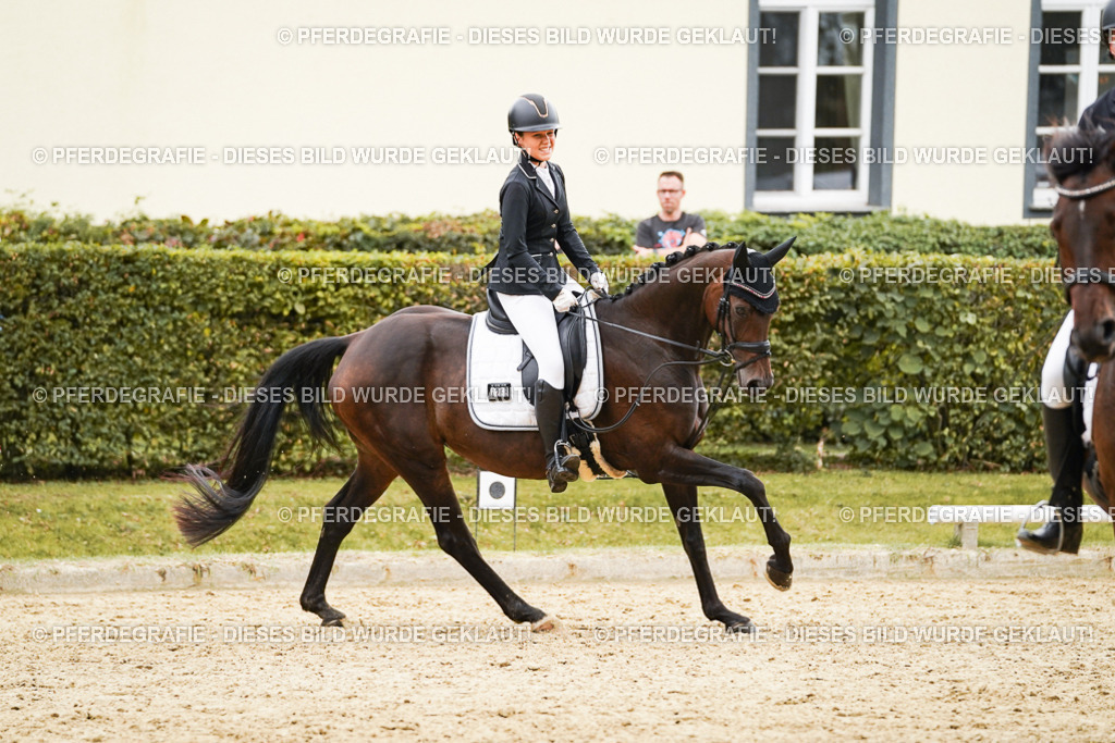 DSC00213 | Pferdegrafie