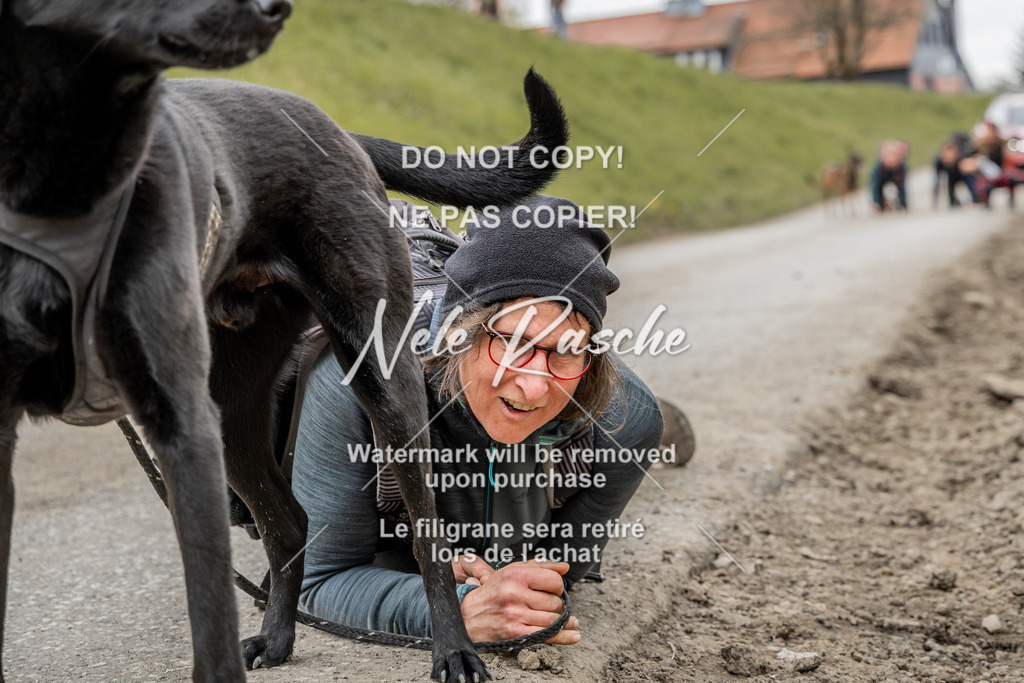 NR__2942 | nelerasche