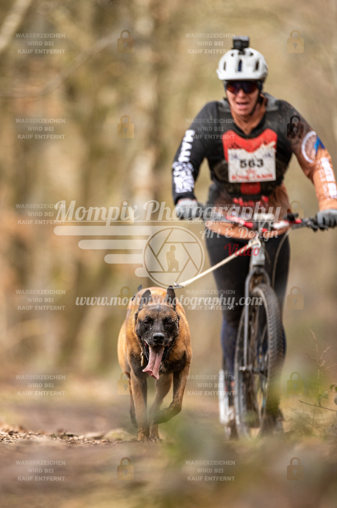 SPA_2023_SAM_Scooter-30 | PayLife