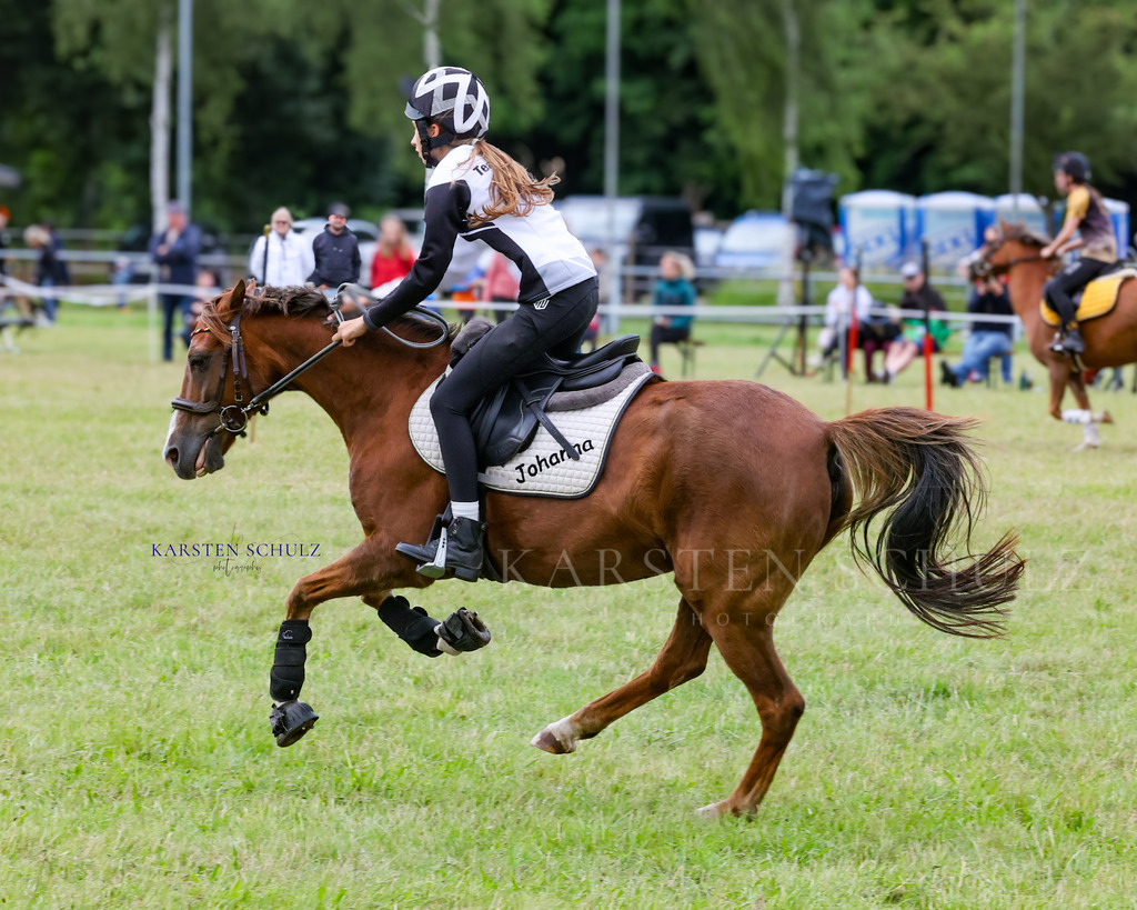 1B3A1644 | Reitsport Reiten