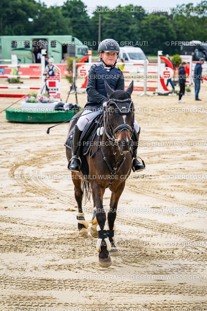 DSC06520 | Pferdegrafie