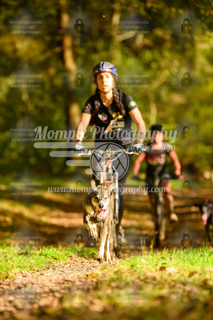 MompixPhotography_20TSB_E1_DS1-21 | PayLife