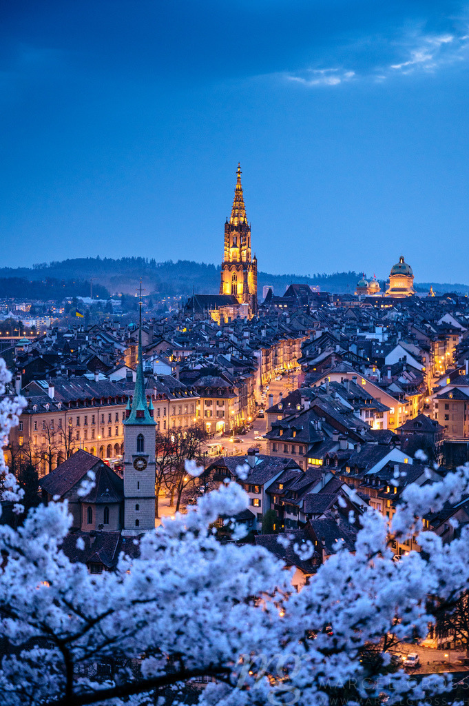 view from Rosengarten over the historic center of Bern during nightfall | Die ideale Geschenkidee für Naturliebhaber. Naturbilder von Marcel Gross Photography für ihr Zuhause in den verschiedensten Formaten und Materialien. - Realisiert mit Pictrs.com