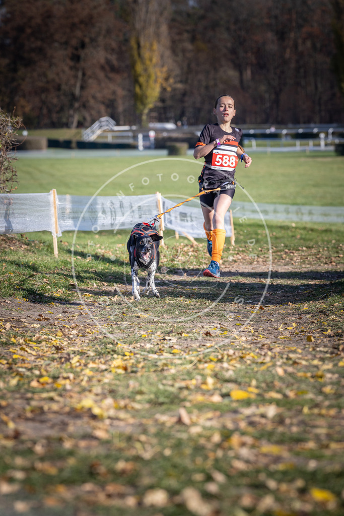 CaniXpix_DV3A9187 | Hundefotografie, Tierfotograf, Pfotenfotografie, Fotoshooting Hund, Hunde Portrait, Hundesport, Hundeportraits, Heideshooting, Hunde, Sportfotograf, Hundefotograf, Turnierhundsport, THS,  - Realisiert mit Pictrs.com