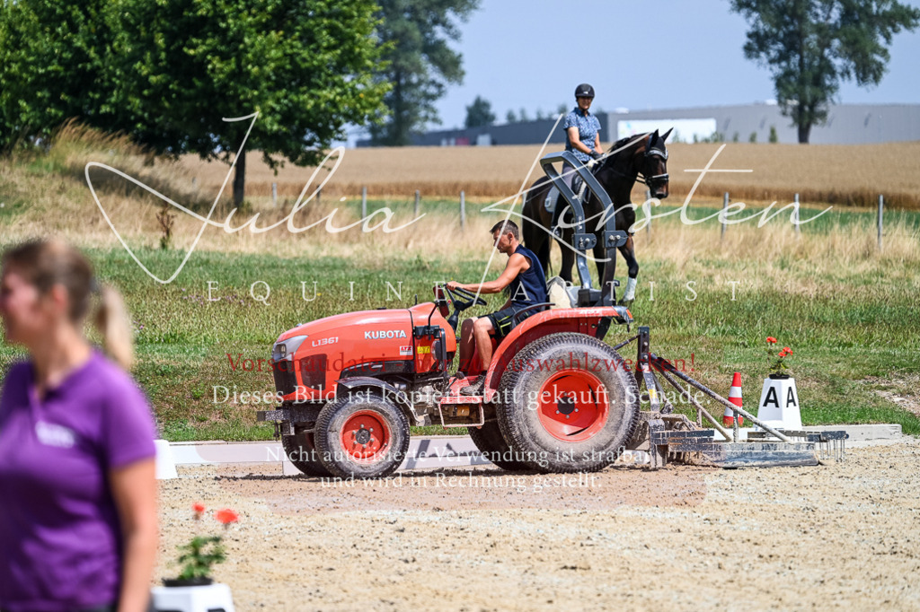 DSC_2681 | Pferde- und Turnierfotografie in Westsachsen. Pferdeportraits, Auftragszeichnungen und intuitive Kunst.
