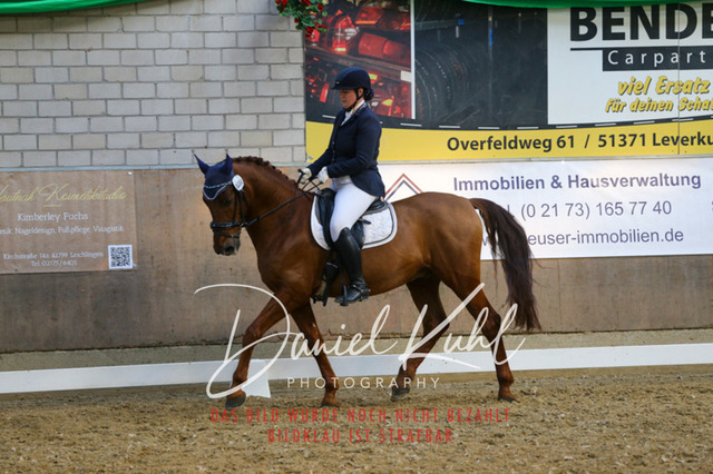 IMG_2688 | Turnierfotos kaufen im Webshop von Daniel Kuhl Photography – entdecke professionelle Reitsportfotos aus Turnieren & Events. Hochwertige Turnierbilder online bestellen & sichern. Jetzt Fotos von Reitsportturnieren kaufen!