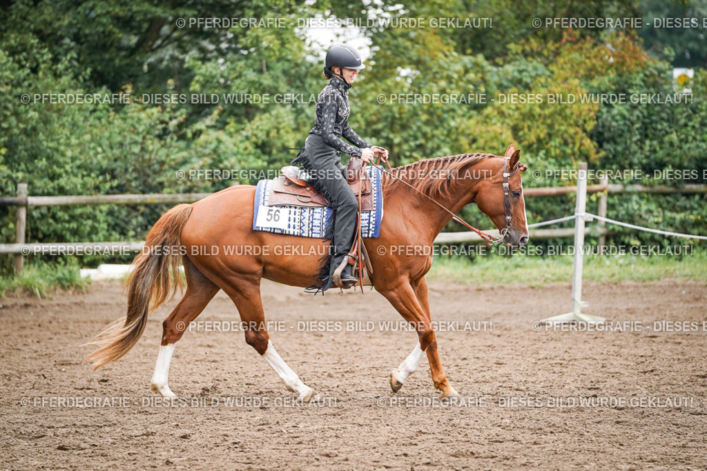 DSC02433 | Pferdegrafie