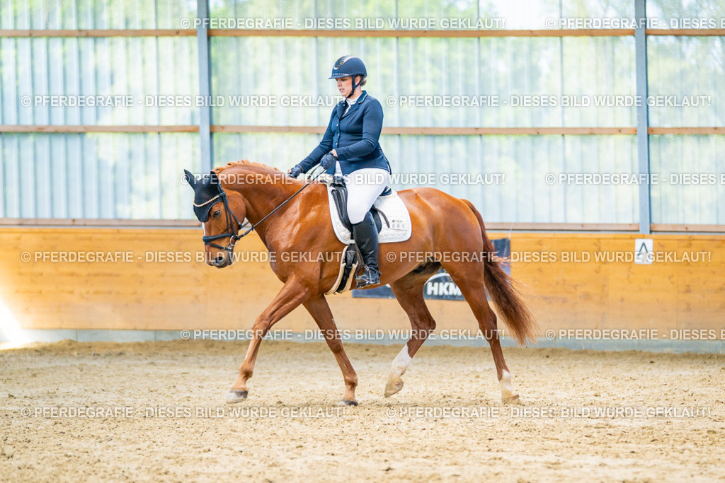 DSC07525 | Pferdegrafie