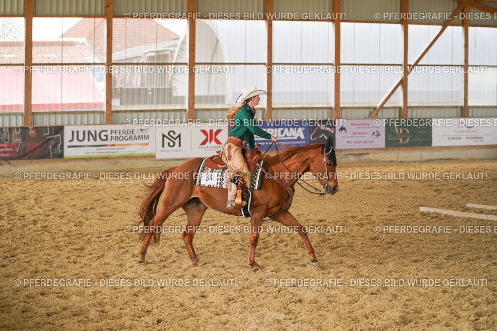 DSC04592 | Pferdegrafie