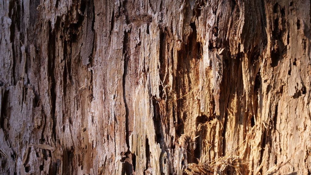 P1055173 | klausulrichmoeller