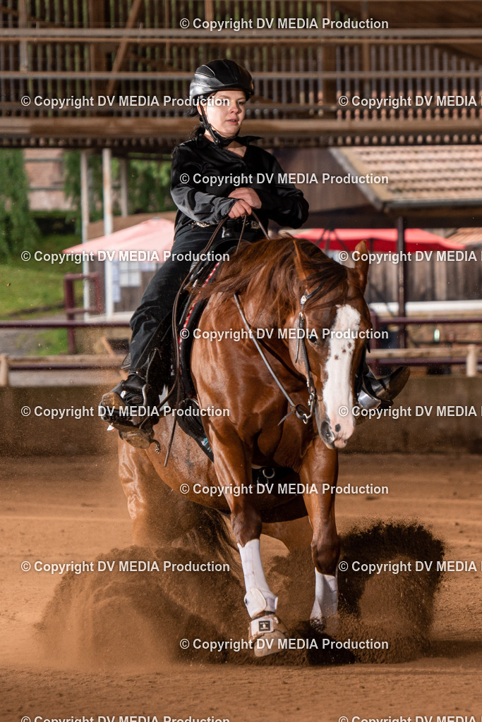 Erbach Tag 3-826 | dv-media-shop - Realisiert mit Pictrs.com