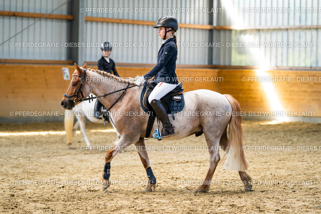 DSC02207 | Pferdegrafie