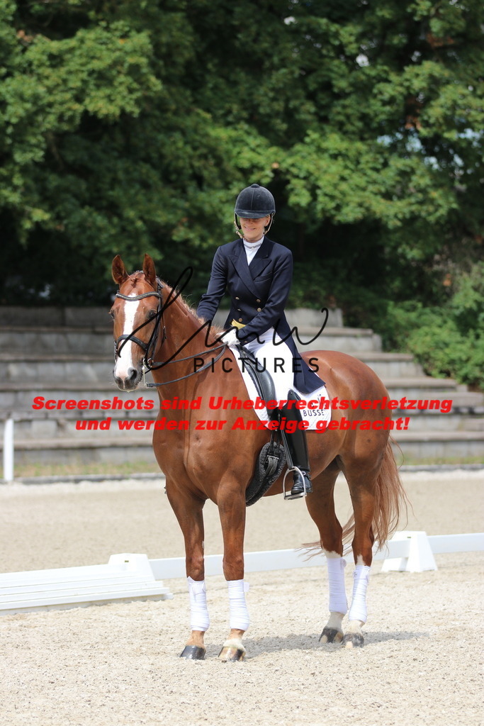 IMG_9834 | lmwpictures - Realisiert mit Pictrs.com