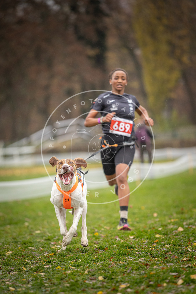CaniXpix_DV3A8948 | Hundefotografie, Tierfotograf, Pfotenfotografie, Fotoshooting Hund, Hunde Portrait, Hundesport, Hundeportraits, Heideshooting, Hunde, Sportfotograf, Hundefotograf, Turnierhundsport, THS,  - Realisiert mit Pictrs.com