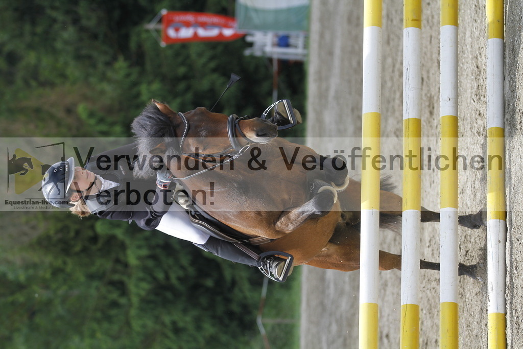 _MG_5249 | equestrian-live-com