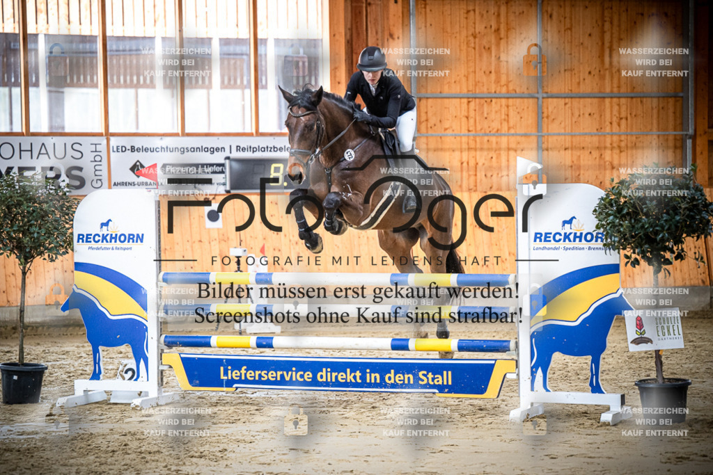 DOS_1291 | Entdecke hochwertige Reitturnierfotos von Foto Oger. Professionell, emotional und authentisch – jetzt Lieblingsmomente im Shop bestellen.Deutschlandweite Turnierfotografie. - Realisiert mit Pictrs.com