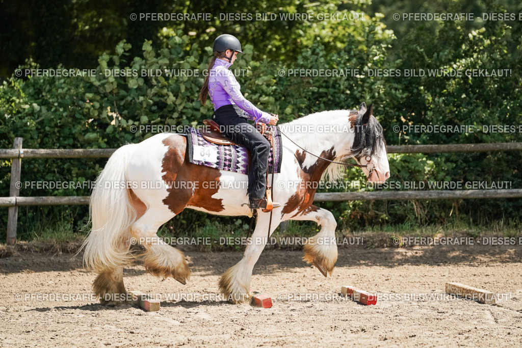 DSC07529 | Pferdegrafie