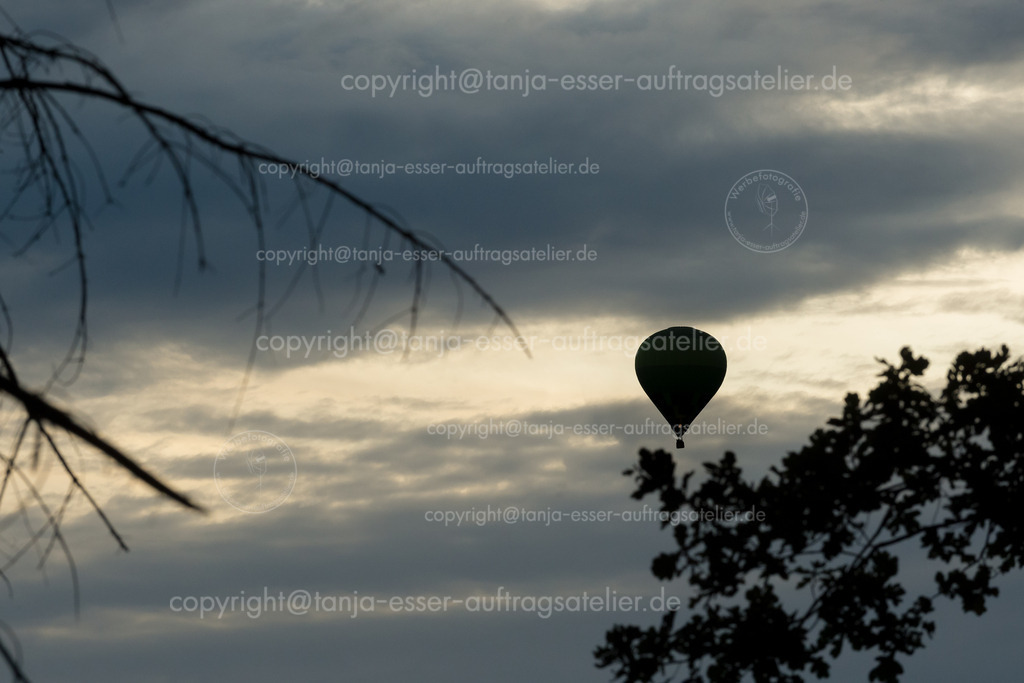 143 Ballon 2 | Ein Heißluftballon schwebt in den bewölkten Himmel. Es ist Abend. Im Vordergrund sind Äste als Silhouetten zu erkennen. Der Fokus liegt auf dem Ballon.