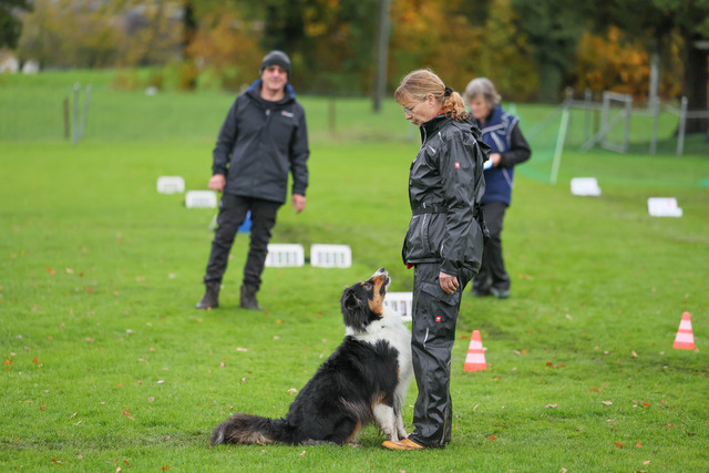 2025_Rally_Obedience_SM-96 | Ich fotografiere Hundeausstellungen, Sportanlässe, Zuchtstätten, Hundezucht, Hundeportrait, Lagotto - Realisiert mit Pictrs.com
