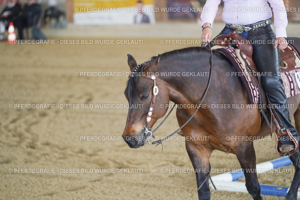 DSC00309 | Pferdegrafie