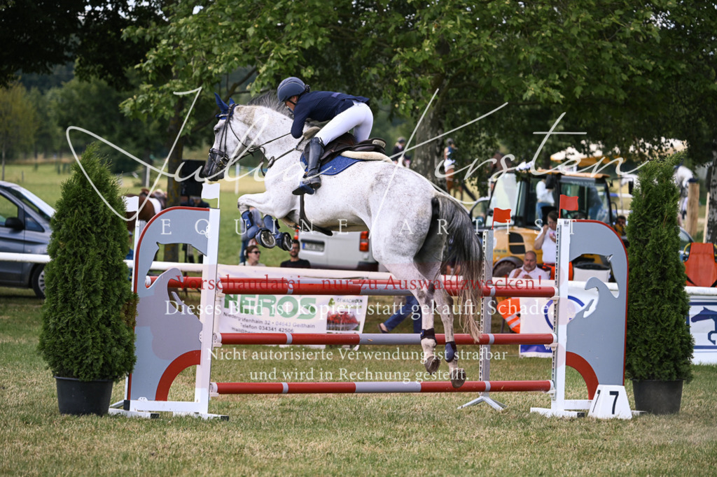 DSC_0951 | Pferde- und Turnierfotografie in Westsachsen. Pferdeportraits, Auftragszeichnungen und intuitive Kunst.