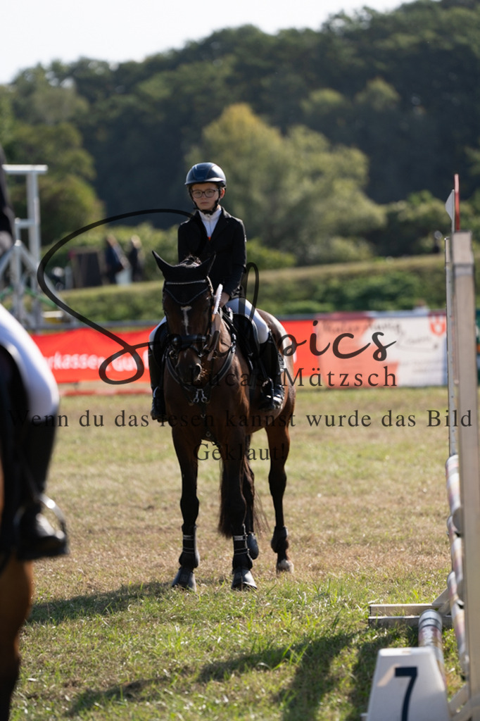 A7V08311 | Pferdefotograf