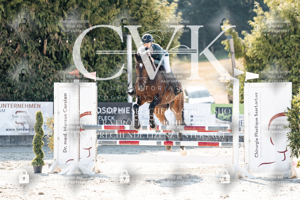 CK907977 | Turnierfotografie Pferdefotografie Trier Rheinland-Pfalz Pferdesport Reitsport Tierfotografie Sportfotografie Pferdevideo Pferdevideografie Equestrianvideography equestrianphotography  - Realisiert mit Pictrs.com