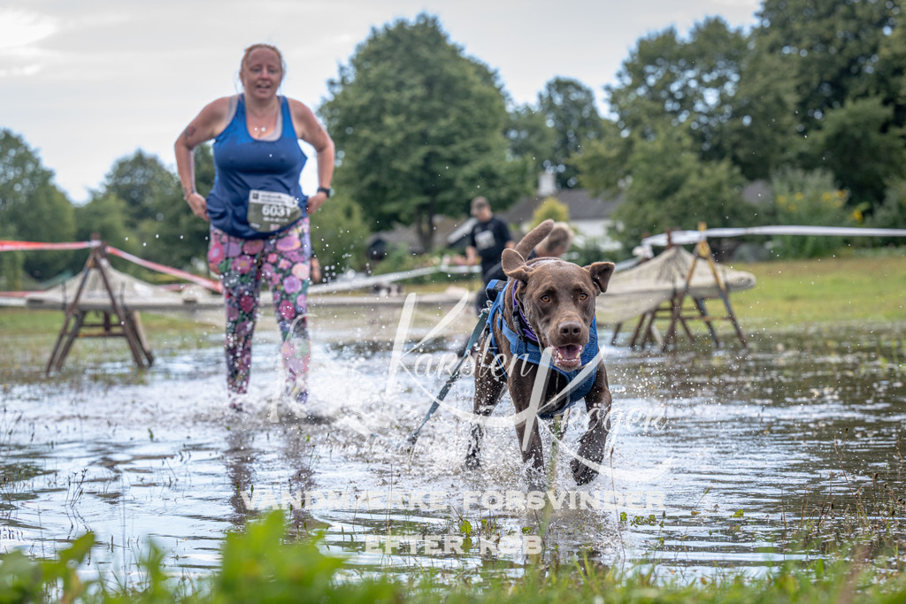 1316_ZZ90671 | kk-dogfotos