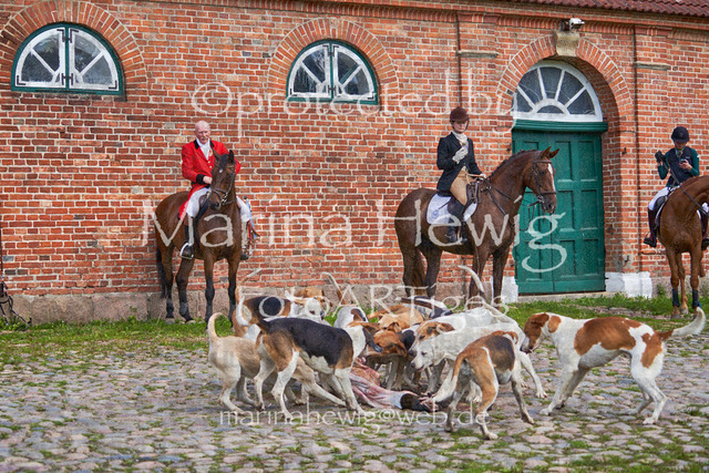 _MCH8554_Marina Hewig | Fotografie, FotoArt, PferdesportArt, Pferdesportfotografie, Landschaftsfotografie, Reisefotografie, Reise, Pferde - Realisiert mit Pictrs.com