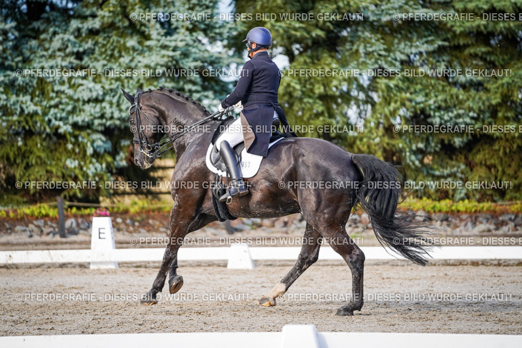 DSC00522 | Pferdegrafie