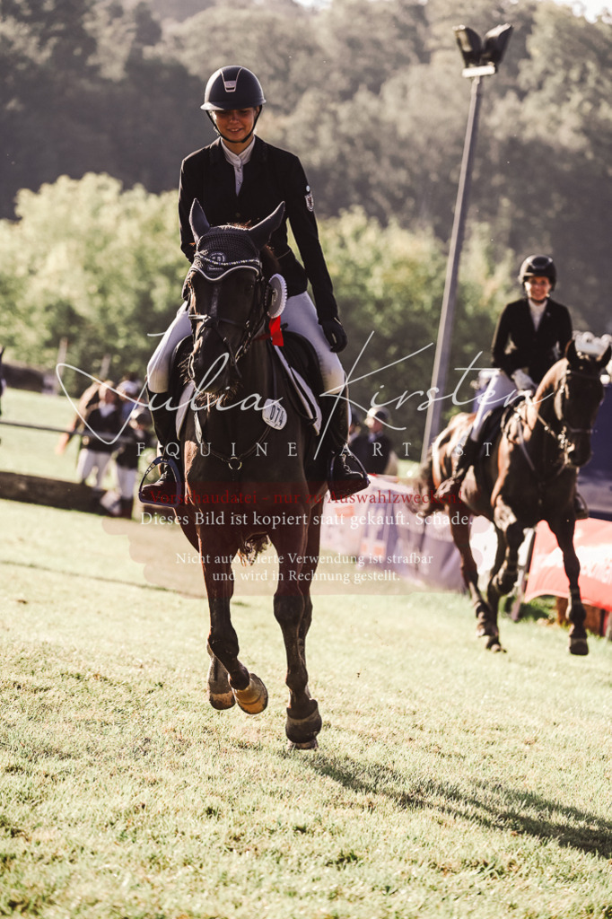 DSC_4645 | Pferde- und Turnierfotografie in Westsachsen. Pferdeportraits, Auftragszeichnungen und intuitive Kunst.