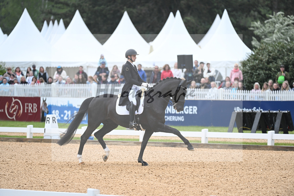 Moreira_Zonik Hit_11232555 | hf-fotografie - Realisiert mit Pictrs.com