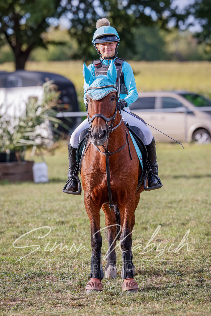 20250905-_3LI2370 | Tierfotografie Pferde, Hunde, Katzen, Haustiere.
Turnierfotografie Reitturniere, Reiten, Springreiten, Dressur in Hanau, dem Main-Kinzig-Kreis und dem Rhein-Main- Gebiet um Frankfurt