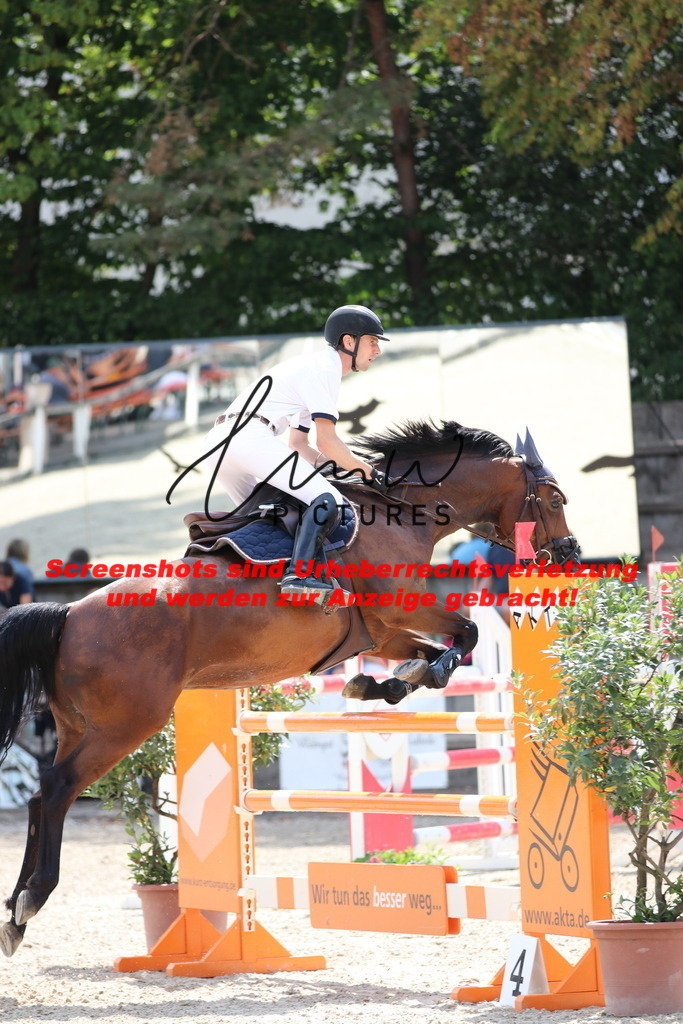 IMG_0376 | lmwpictures - Realisiert mit Pictrs.com