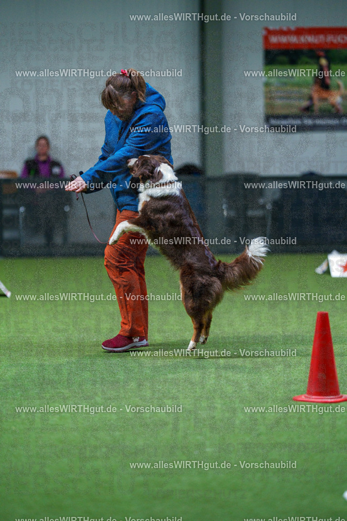 7R502897 | Professionelle Tierfotografie in Mönchengladbach von Daniel Wirth (allesWIRTHgut). Liebevolle & natürliche Bilder von Hunden & Katzen für unvergessliche Erinnerungen.