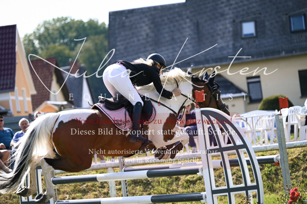 DSC_1123 | Pferde- und Turnierfotografie in Westsachsen. Pferdeportraits, Auftragszeichnungen und intuitive Kunst.