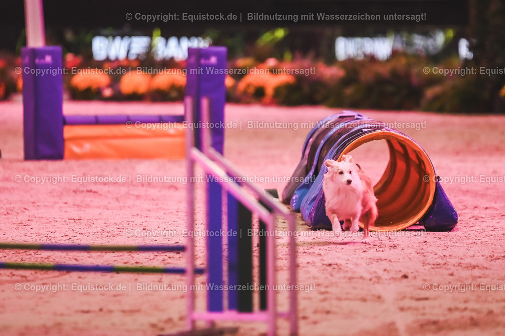 20241113_Showabend_TOMsPiC_0443 | Foto: Thomas Hartig