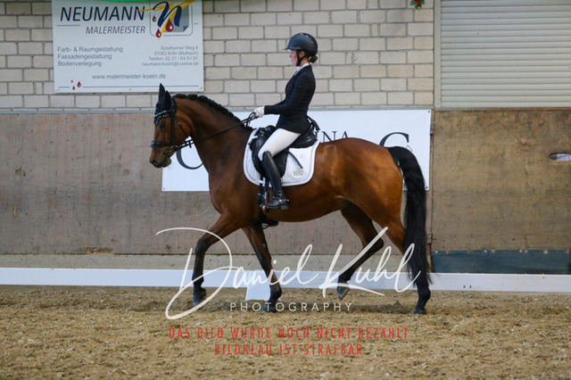 IMG_2818 | Turnierfotos kaufen im Webshop von Daniel Kuhl Photography – entdecke professionelle Reitsportfotos aus Turnieren & Events. Hochwertige Turnierbilder online bestellen & sichern. Jetzt Fotos von Reitsportturnieren kaufen!