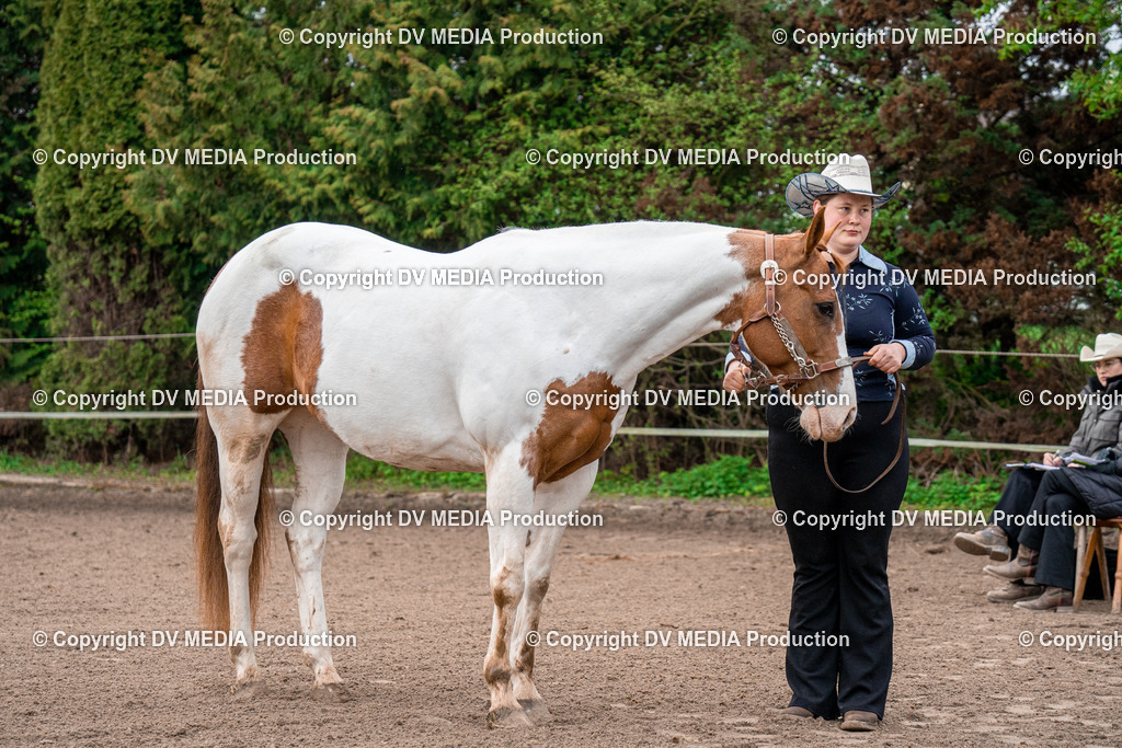 BA300012 | dv-media-shop - Realisiert mit Pictrs.com