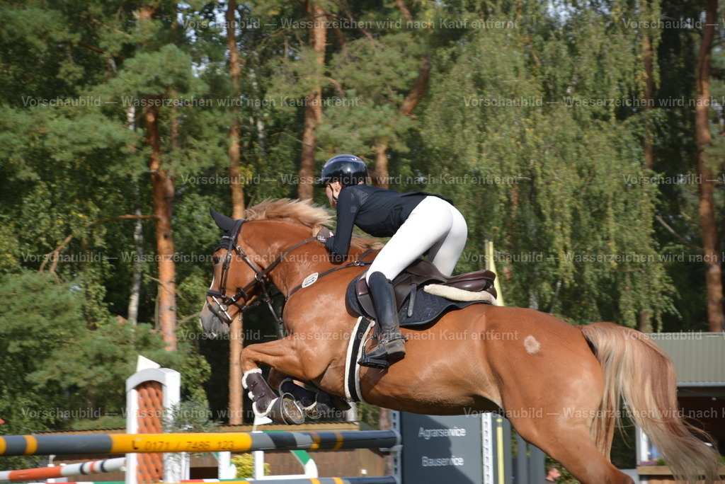 DSC_0315 | heimberg-sportfotos - Realisiert mit Pictrs.com