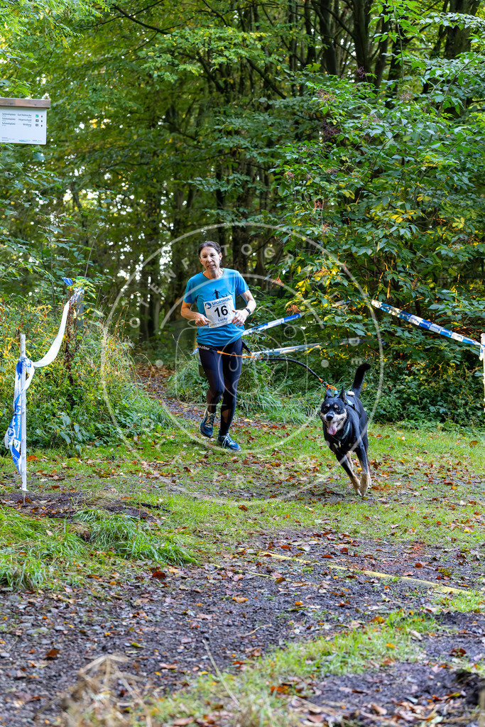 Pfotenfotografie_DV3A6374 | Hundefotografie, Tierfotograf, Pfotenfotografie, Fotoshooting Hund, Hunde Portrait, Hundesport, Hundeportraits, Heideshooting, Hunde, Sportfotograf, Hundefotograf, Turnierhundsport, THS,  - Realisiert mit Pictrs.com
