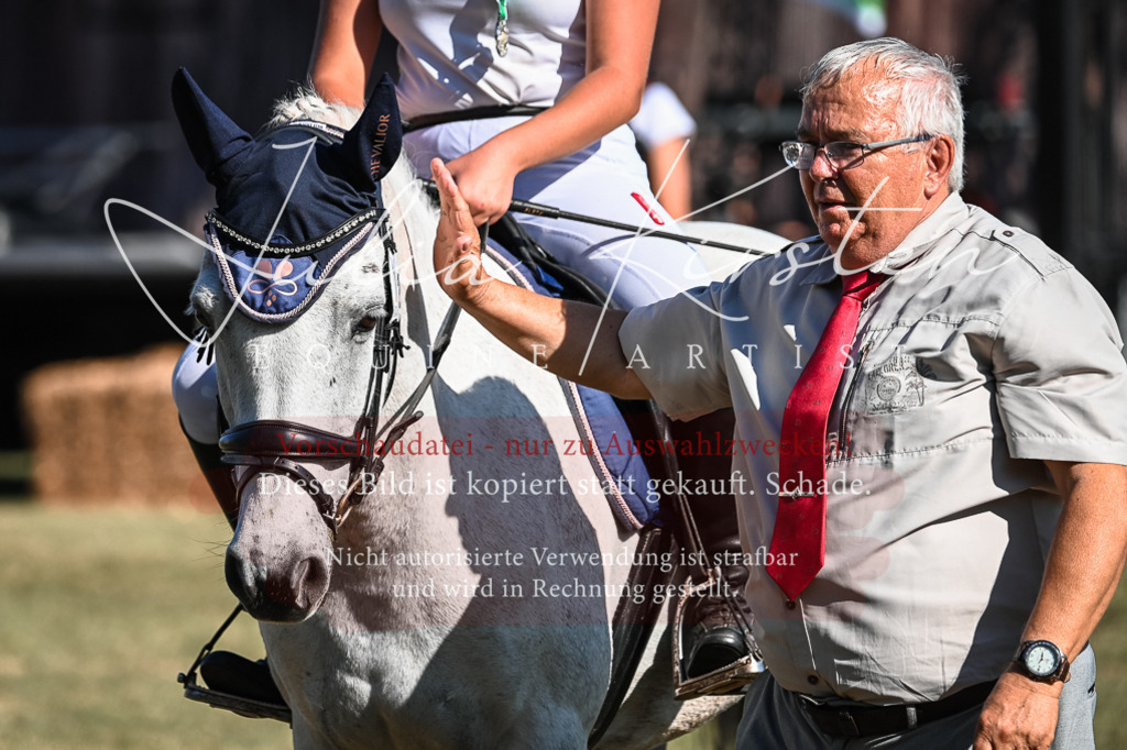 DSC_7105 | Pferde- und Turnierfotografie in Westsachsen. Pferdeportraits, Auftragszeichnungen und intuitive Kunst.