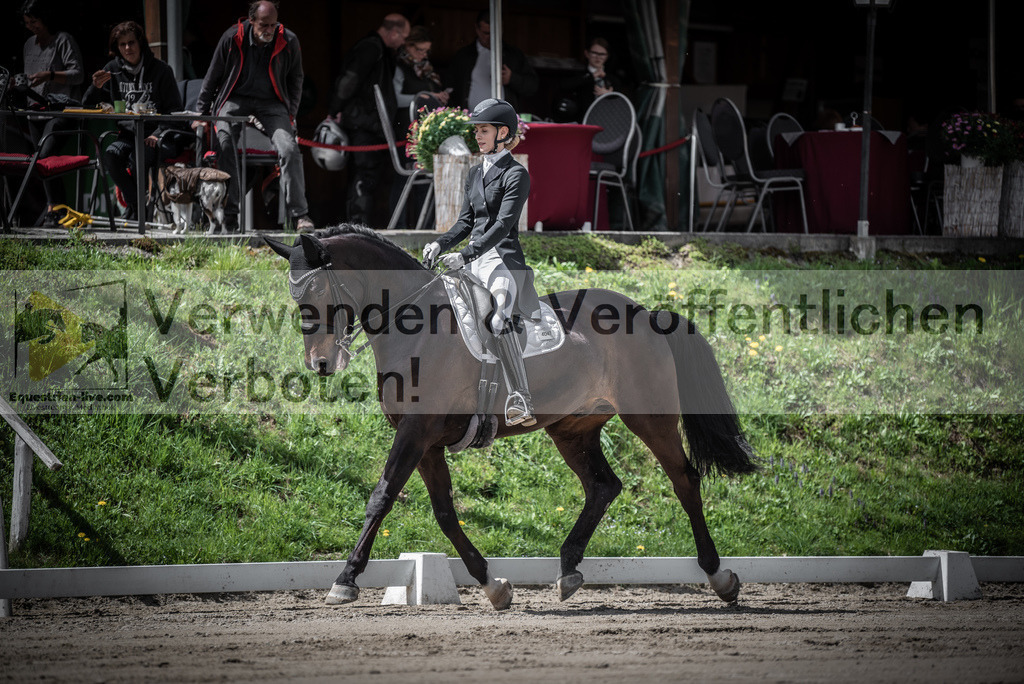DSC_2214 | equestrian-live-com